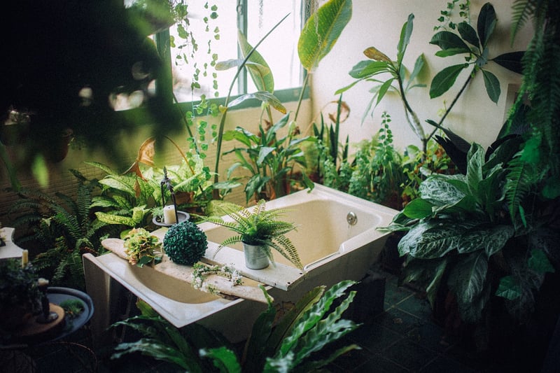 Indoor Air-Purifying Plants