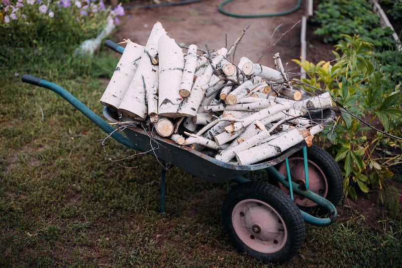 Summer Garden Tips