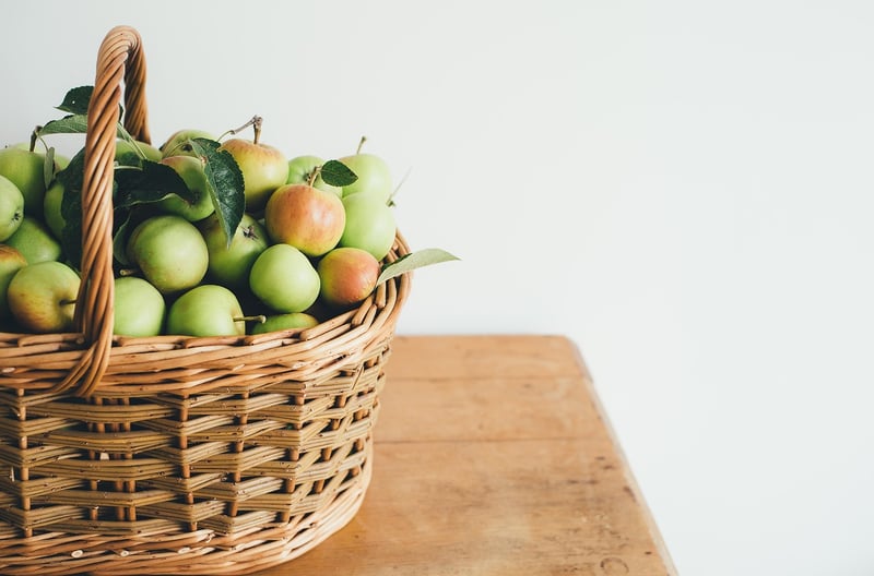 Living Table Runners